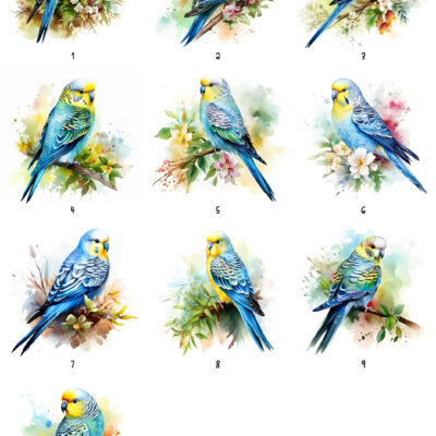 Personalised Watercolour Budgie Art