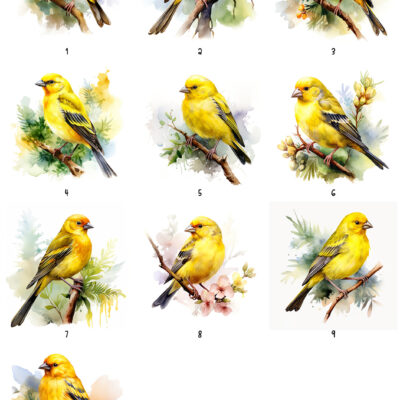 Personalised Watercolour Canary Art