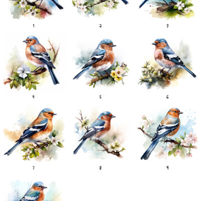 Personalised Watercolour Chaffinch Art