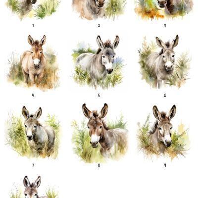 Personalised Watercolour Donkey Gifts