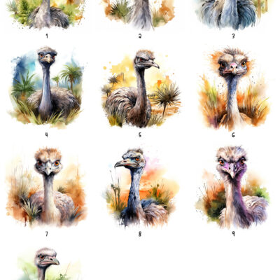 Personalised Watercolour Ostrich Gifts