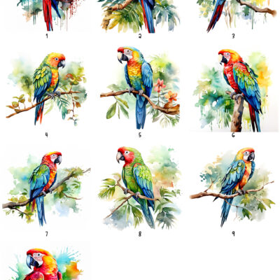 Personalised Watercolour Parrot Gifts